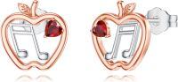 wholesale 925 Sterling Silver Heart-Shaped Red Crystal Apple Stud Earrings w/Book & Music Notes - Teacher Gift Jewelry-03-Math