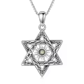 TOUPOP Sterling Silver Abalone Shell Star Of David Necklace Pendant Jewelry-0-0