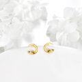 wholesale 14K Gold Raccoon Moon Stud Earrings - Animal Themed  for Her-0-3