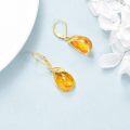 wholesale 925 Sterling Silver Teardrop Amber Feather Drop Earrings-0-1