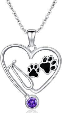 wholesale Sterling Silver Birthstone Vet Stethoscope Necklace Dog Paw Pendant Nurse Jewelry Gift for Women Veterinarians-Stethoscope 02-February Birthstone