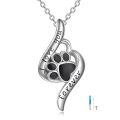 TOUPOP Sterling Silver Stone Pet Ashes Necklace Urn Memorial Keepsake-0-0