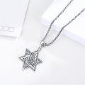 wholesale 925 Sterling Silver Lion Head Star of David Pendant Necklace for Men & Women Judaica Gifts-0-1