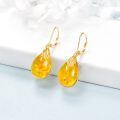 wholesale 925 Sterling Silver Teardrop Amber Feather Drop Earrings-0-2