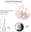 wholesale 925 Sterling Silver White Opal & Cubic Zirconia Infinity Dangle Drop Earrings for Women-0-4