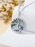 TOUPOP Sterling Silver Crystal Evil Eye Necklace Pendant Protection Gift-0-2