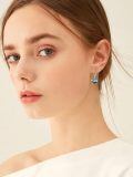 wholesale 925 Sterling Silver Birthstone 12 Constellations Heart Dangle Earrings-0-2