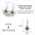 wholesale Sterling Silver Moonstone Leverback Teardrop Dangle Earrings for Women-0-76