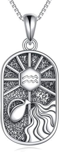 wholesale 925 Sterling Silver Aquarius Zodiac Sign Pendant Necklace for Women-Aquarius (1.21-2.19)
