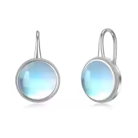 TOUPOP Sterling Silver Moonstone Earrings Dangle Leverback Gifts-undefined