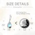 wholesale 925 Sterling Silver Teardrop Moonstone & Black Cat Paw Print Leverback Drop Earrings-0-3