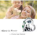 wholesale 925 Sterling Silver 925 Panda Heart Projection I love you forever Pendant Necklaces Gifts for Women-0-3