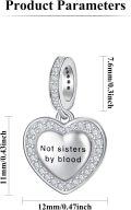 wholesale 925 Sterling Silver Heart Charm Pendant with Cubic Zirconia and Engraved Message Not sisters by blood - DIY  for Women-0-5
