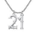 wholesale 925 Sterling Silver Number Pendant Necklaces - Unique s for Him (Birthday)-0-0