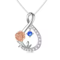 TOUPOP Sterling Silver September Birth Flower Necklace Infinity Pendant-undefined