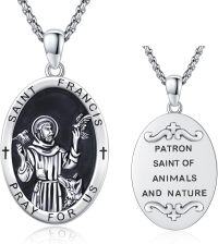 wholesale 925 Sterling Silver Saint Francis Patron of Animals and Nature Pendant Necklace for Men & Women-D01-Saint Francis-D01-Saint Francis