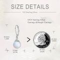 wholesale 925 Sterling Silver Dangle Earrings Wholesale With Black Onyx Stones Elegant Design-0-19