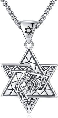 wholesale 925 Sterling Silver Lion Head Star of David Pendant Necklace for Men & Women Judaica Gifts-Lion
