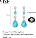 wholesale Sterling Silver White Opal Larimar Turquoise Moissanite Drop Dangle Earrings for Women-0-26