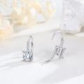 wholesale 925 Sterling Silver CZ Princess Cut Square Drop Leverback Earrings-0-4