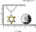 wholesale 925 Sterling Silver Two-Tone Star of David Pendant for Men's Jewelry Necklaces-0-4