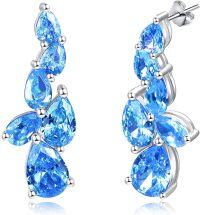 wholesale 925 Sterling Silver Birthstone Teardrop Dangle Earrings for Women-12 Dec