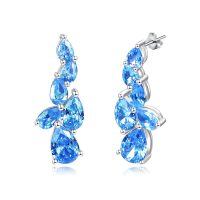 wholesale 925 Sterling Silver Birthstone Teardrop Dangle Earrings for Women-12 Dec