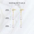 wholesale 14K Gold Freshwater Pearl Star Drop Earrings for Women-0-2