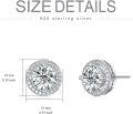 wholesale White Gold Plated 925 Sterling Silver Moissanite 2ct D Color Brilliant Round Cut Halo Stud Earrings-0-4
