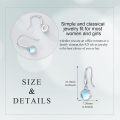 wholesale 925 Sterling Silver Round Blue Moonstone Drop Earrings-0-3