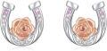 wholesale 925 Sterling Silver Gold Plated Pink Crystal Rose Horseshoe Stud Earrings for Women Hypoallergenic s-0-0