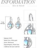 wholesale 925 Sterling Silver Moonstone Turtle Drop Earrings-0-3