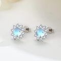wholesale 925 Sterling Silver Blue Opal Halo Stud Earrings with Cubic Zirconia and Celtic Knot Design - Hypoallergenic Jewelry for Women-0-1