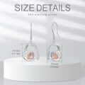 wholesale 925 Sterling Silver Heart-Shaped Guinea Pig Blue Opal Drop Earrings Gift for Women Girls-0-2