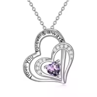 wholesale 925 Sterling Silver CZ Heart Birthstone Necklace for Women Anniversary Gift-2-February