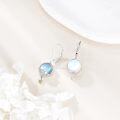 wholesale 925 Sterling Silver Moonstone Howling Wolf Star Drop Earrings for Women-0-4