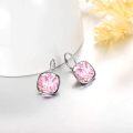 wholesale Sterling Silver Austrian Crystal Hypoallergenic Leverback Earrings Women s Gift-0-27