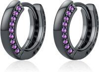 wholesale Sterling Silver 12 Month Birthstone Hoop Earrings for Men Gift for Father Husband-Black Hoops002-02-Feb Amethyst