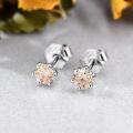 wholesale 925 Sterling Silver & Moissanite Stud Earrings - Round Cut 0.2-1 Carat Cubic Zirconia Alternative Jewelry for Women Girls Gift Boxed-0-17