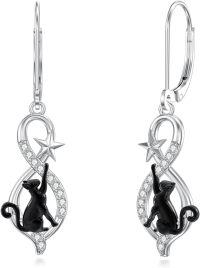 wholesale 925 Sterling Silver Black Cat Star Infinity Hook Earrings 3D Animal Jewelry for Women Girls Gift Boxed-B_Black Cat