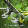 wholesale 925 Sterling Silver Multicolor CZ Snake Stud Earrings for Women and Girls-0-5