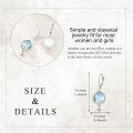 wholesale 925 Sterling Silver Moonstone Howling Wolf Star Drop Earrings for Women-0-3