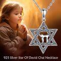 wholesale 925 Sterling Silver Camel in Star of David Pendant Necklace for Women and Men-0-1