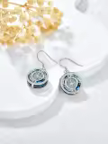 TOUPOP Sterling Silver Crystal Compass Dangle Earrings Birthday Gift For Women-0-2