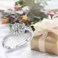 TOUPOP Sterling Silver D Color Vvs1 Moissanite Halo Engagement Ring Wedding Band-0-5