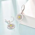 wholesale  925 Sterling Silver Compass Drop Earrings with Gift Box, Hypoallergenic Jewelry for Women & Men-0-1