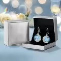 TOUPOP Sterling Silver Blue Crystal Zodiac Earrings-0-5