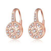 wholesale Rose Gold Star Circle Studs 925 Sterling Silver Earrings  for Women Girls-D