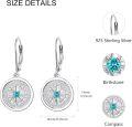 wholesale 925 Sterling Silver & Stone Compass Drop Earrings - Directional Symbol Jewelry for Women Men-0-5