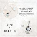 wholesale 925 Sterling Silver Penguin with Snowflake Drop Leverback Earrings-0-3